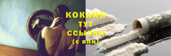 сатива Аркадак