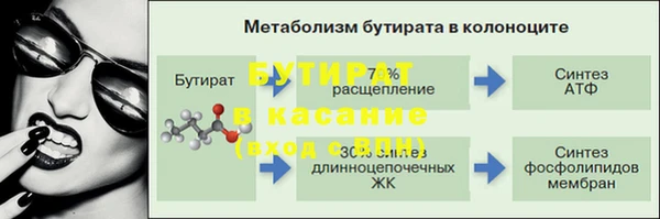 сатива Аркадак