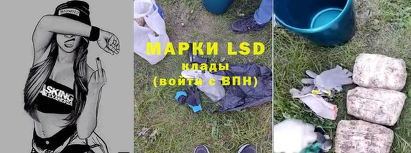 сатива Аркадак