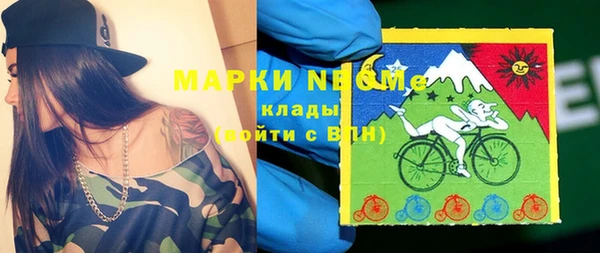 сатива Аркадак