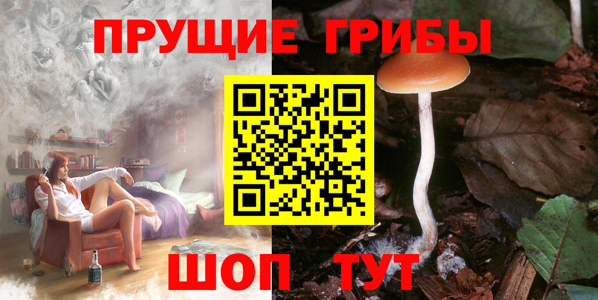 Псилоцибиновые грибы Magic Shrooms Каспийск